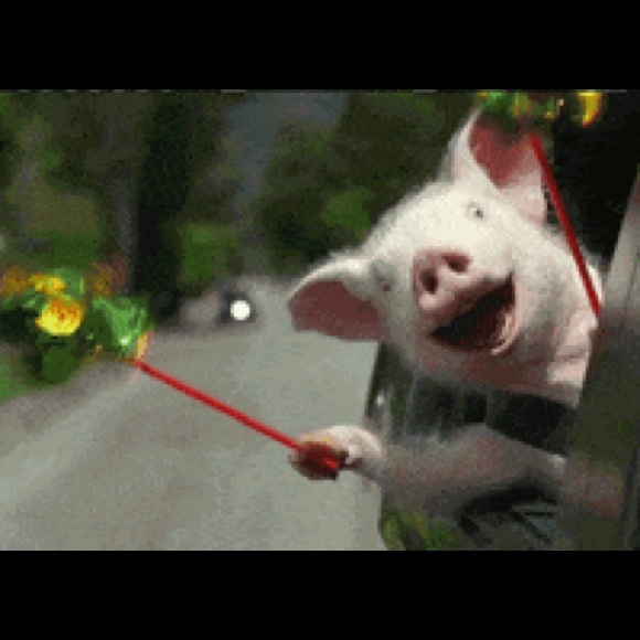 Shoes - LAST DAY APRIL 30! LAST CHANCE IF YOU LIKE SOMETHING….